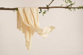 a piece of  cream silk hanging on the tree branch
